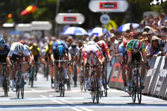 Viviani and Sierra to defend title against Cadel Evans in 2020