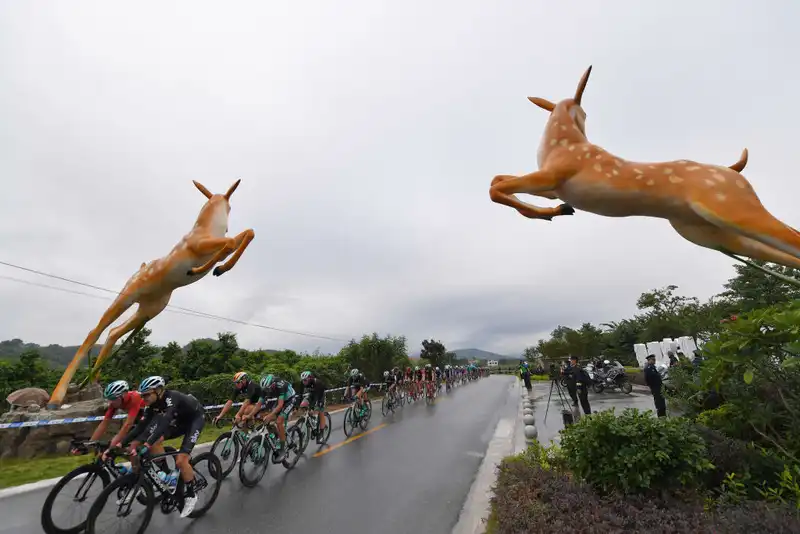 Wild Deer Rampage at Vuelta a España Injures Riders, Damages Team Car Roof Rack and Bike